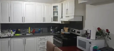 WALKOUT STUDIO BASEMENT ENSUITE WASHROOM,7370 DRIFTON CR MALTON