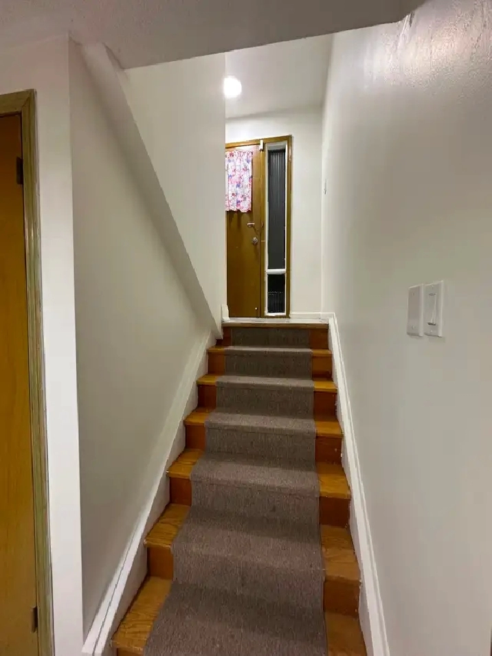 Basement Apartment for Rent