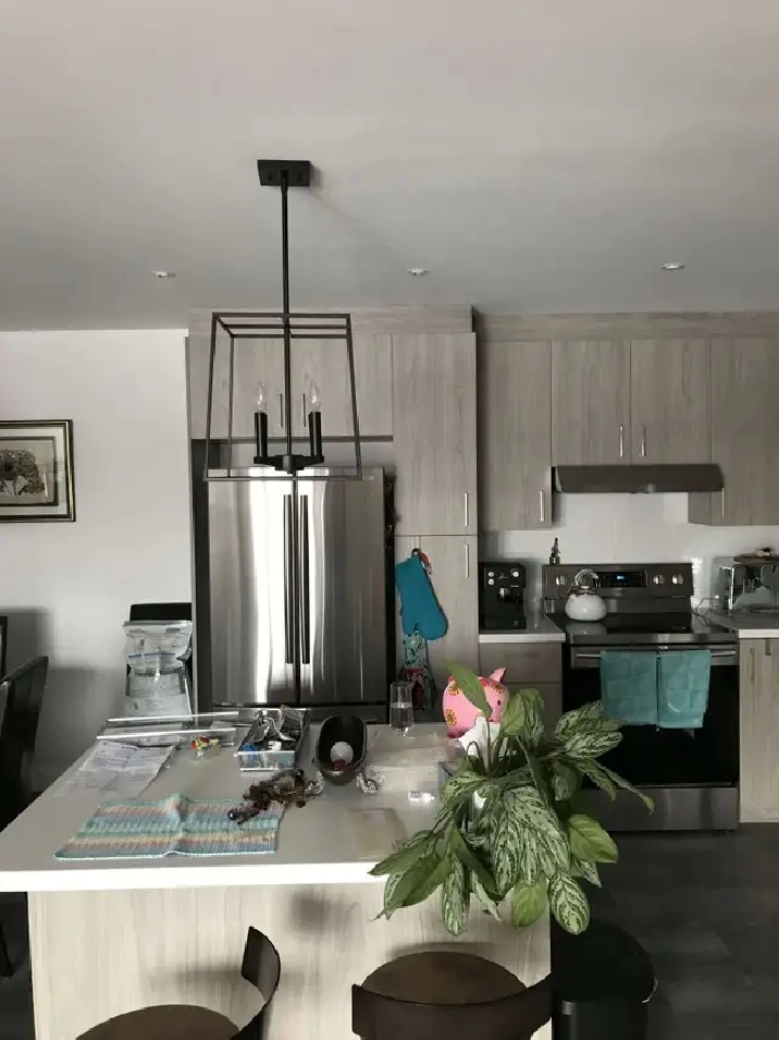 4 1/2 à Limoilou dans un immeuble style condo