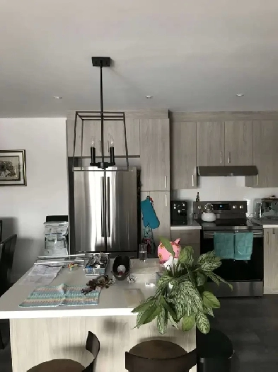 4 1/2 à Limoilou dans un immeuble style condo