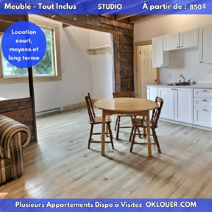 STUDIO MEUBLE-TOUT INCLUS EN CENTRE VILLE