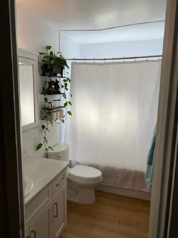 newly renovated 2 bedroom apartment private balcony fergus