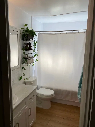 newly renovated 2 bedroom apartment private balcony fergus