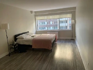 Furnished Studio apartment near McGill and Concordia