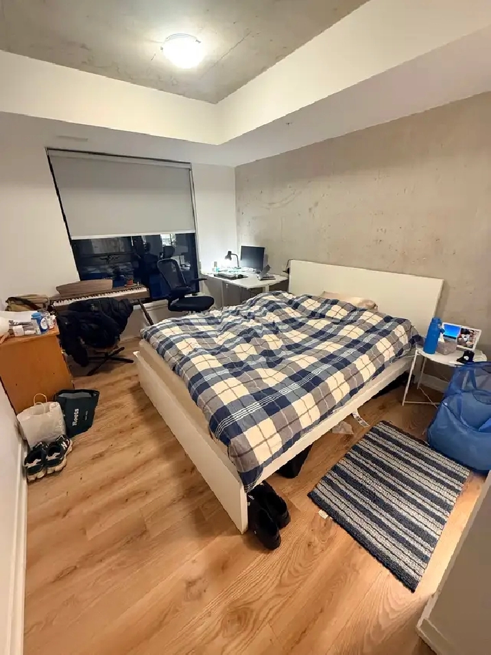 Beautiful Room for Rent near Queens University