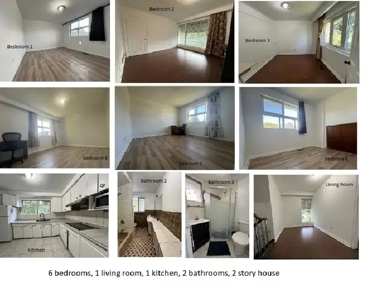 1 month Free! 5 min bus/walk  2 Finch Stn. 6 bedrooms 2 bath