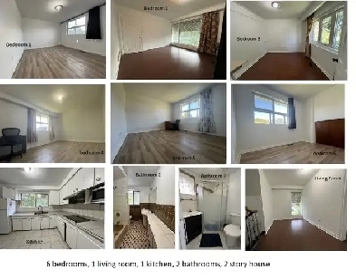 1 month Free! 5 min bus/walk  2 Finch Stn. 6 bedrooms 2 bath