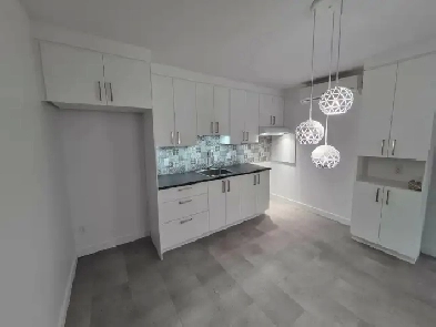 Beau et ensoleillé 3 1/2 entièrement rénové en 2025