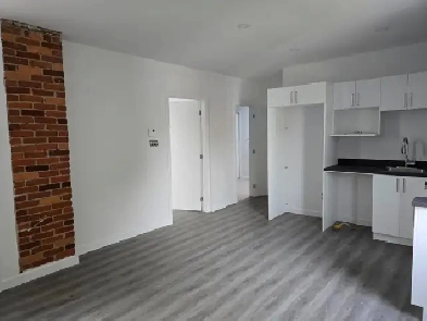 avril GRATUIT -5 1/2 appartement à louer au Plateau Montreal