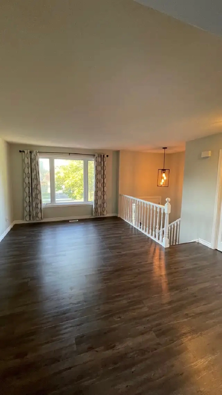 Rooms available for rent (May 1st)