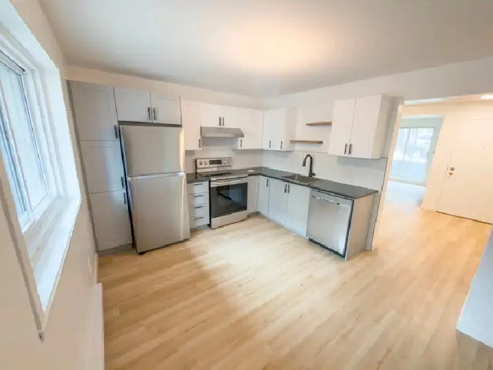 Grand 5 ½ rénové Centre sud, parc Lafontaine, métro Papineau