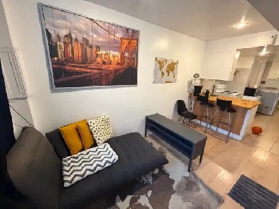 31/2 près du Métro Assomption Montréal, sous-sol