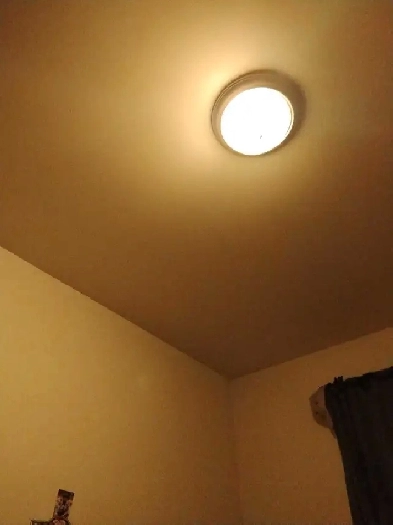 female looking to rent a studio apt or 1 BDR 1000-1200$