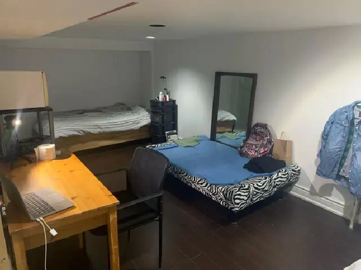 Private bachelor basement apartment available