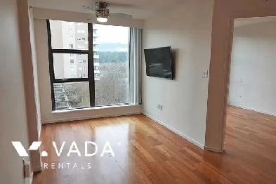 The Park 1 BR APT Rental 503-1723 Alberni St Vancouver: VADA