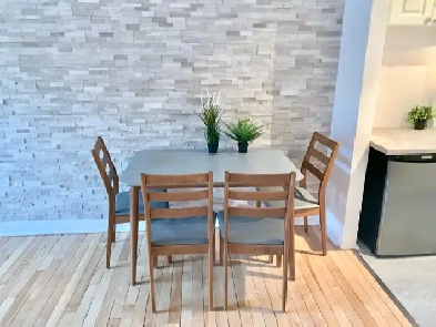 Superbe petit studio Rosemont 5 minutes du plateau !