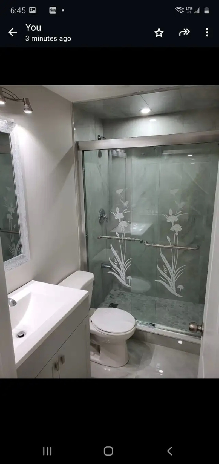 2 Bed 1 Bath legal Basement Apartment