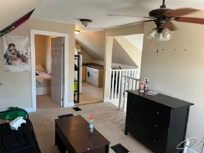 newly renovated 1 bedroom apartment 161 dufferin $1595 all in