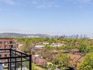 Studio for rent, 4-minute walk to Angrignon Metro   4 Appliances