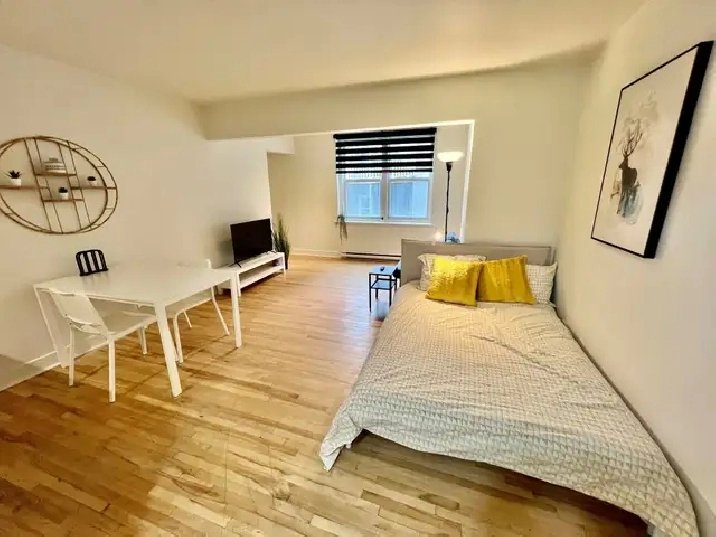 Superbe studio style loft 1 1/2, clé en main, meublé WIFI