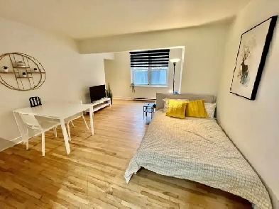 Superbe studio style loft 1 1/2, clé en main, meublé WIFI