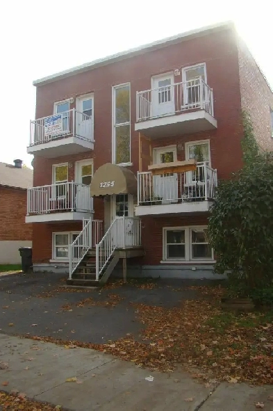 beau grand grand 4 1/2 rue Vitré Limoilou, petit chien accepté