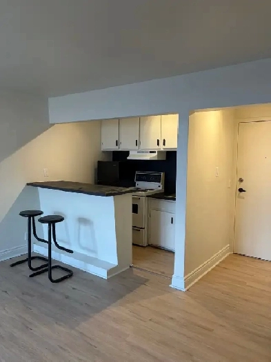 Beau grand 1 1/2 WIFI rue Richelieu Juillet