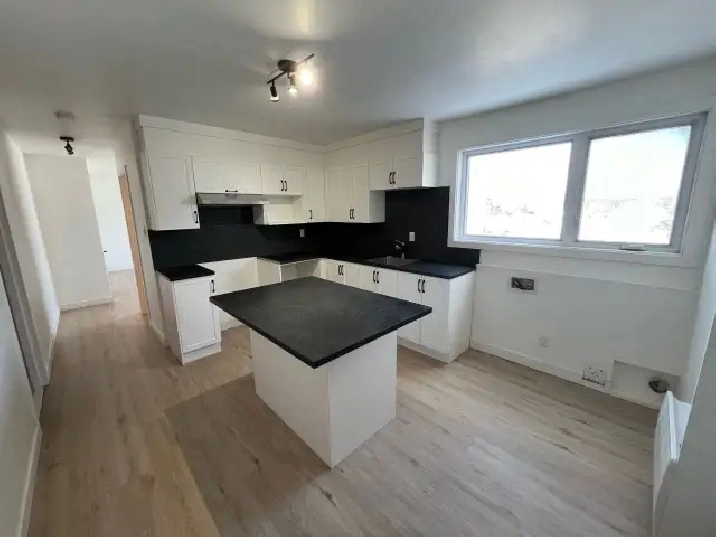 Superbe 3 1/2, 3e Avenue Charlesbourg Rénové