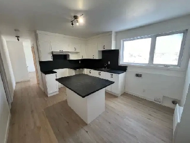 Superbe 3 1/2, 3e Avenue Charlesbourg Rénové