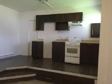 Beau 1½ rénové sur la rue Johnny-Parent JUILLET