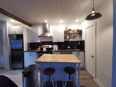 Très Beau Grand 1 1/2, Rue Bagot St-Sauveur Juillet