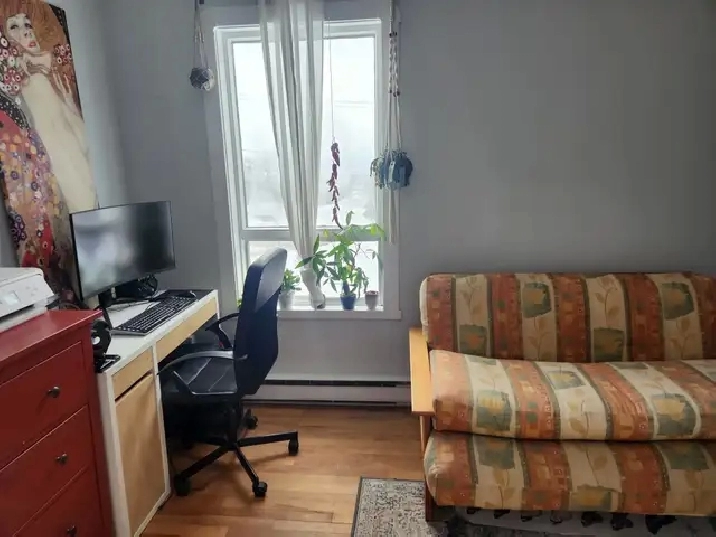 Photo 5