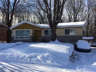 Chambre à louer 555$ près Univ Laval et Centres achats avec stat