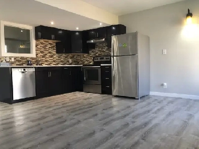 Excellent location Home Suite for rent in Cityscape, Calgary NE