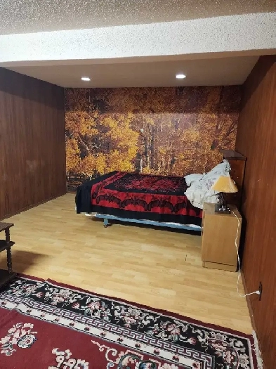 basement suite for rent in temple N.E