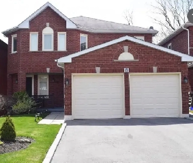 Above ground basement suite in Scarborough