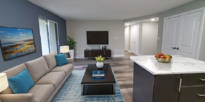 155 Hagar Street - 1 bedroom for Rent in Welland