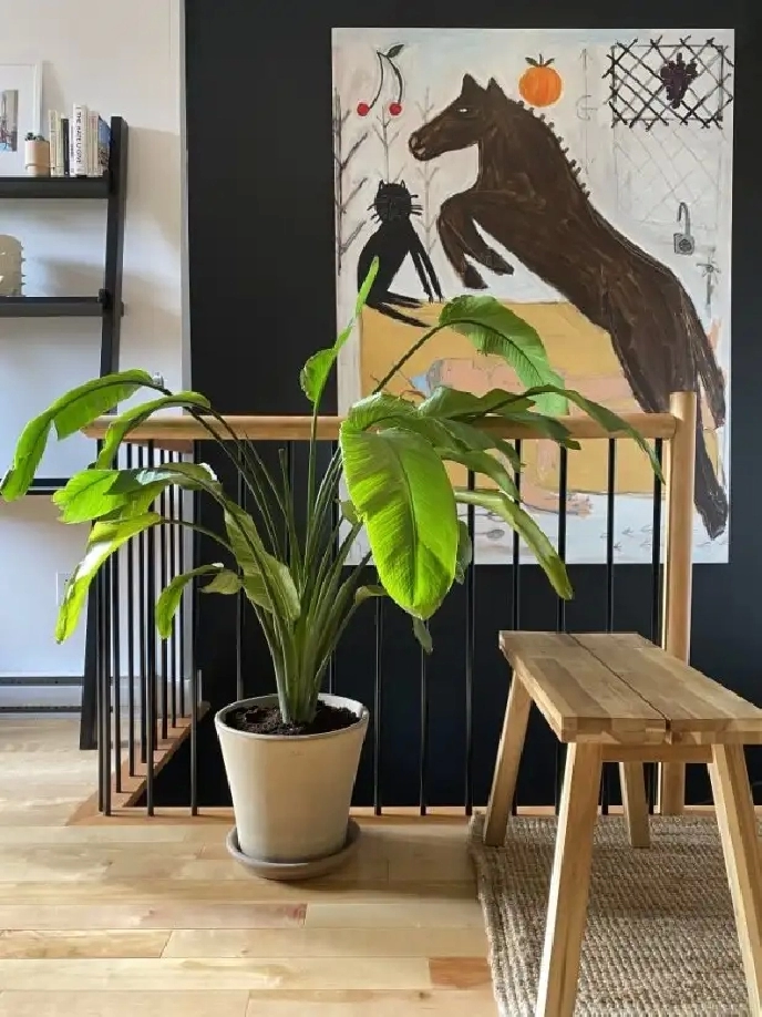 MAGNIFIQUE & GRAND 3 1/2 PRÈS MÉTRO PIE-IX 1395$ ÉLECTROS INCLUS