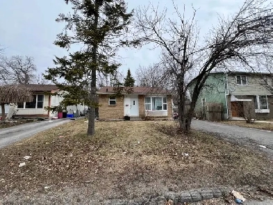 38 Calderwood Drive - Lower - 2 bed, 1 bath ALL INCLUSIVE STUDEN