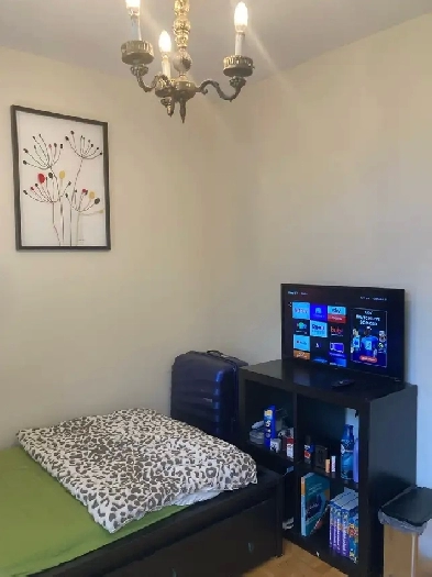 Main floor room for rent