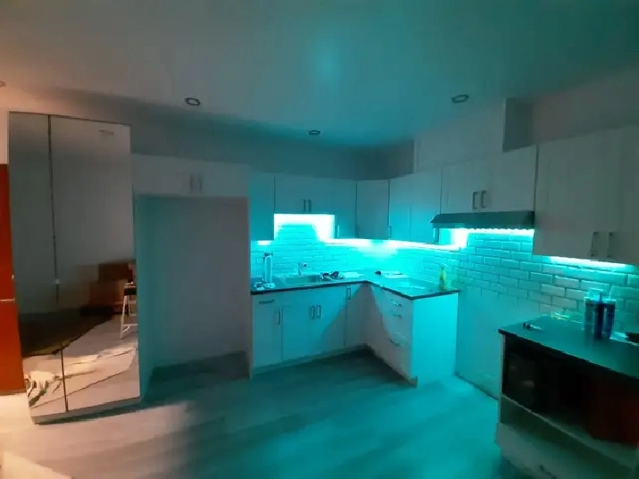 logement 3½ rénové  à Point aux Trembles. dès 1 juillet.