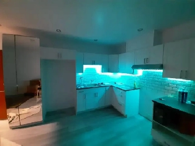 logement 3½ rénové  à Point aux Trembles. dès 1 juillet.