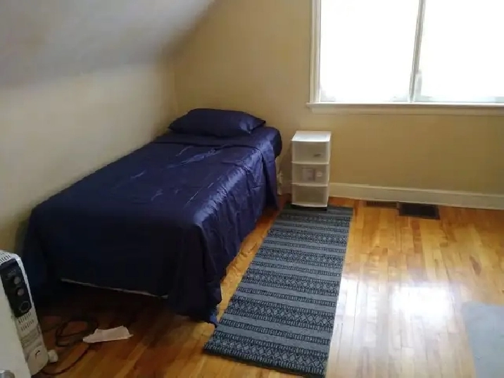 Immed/May 1-10 m Walk Algonq-25m/Carleton-Furn, Merivale, VIDEOs