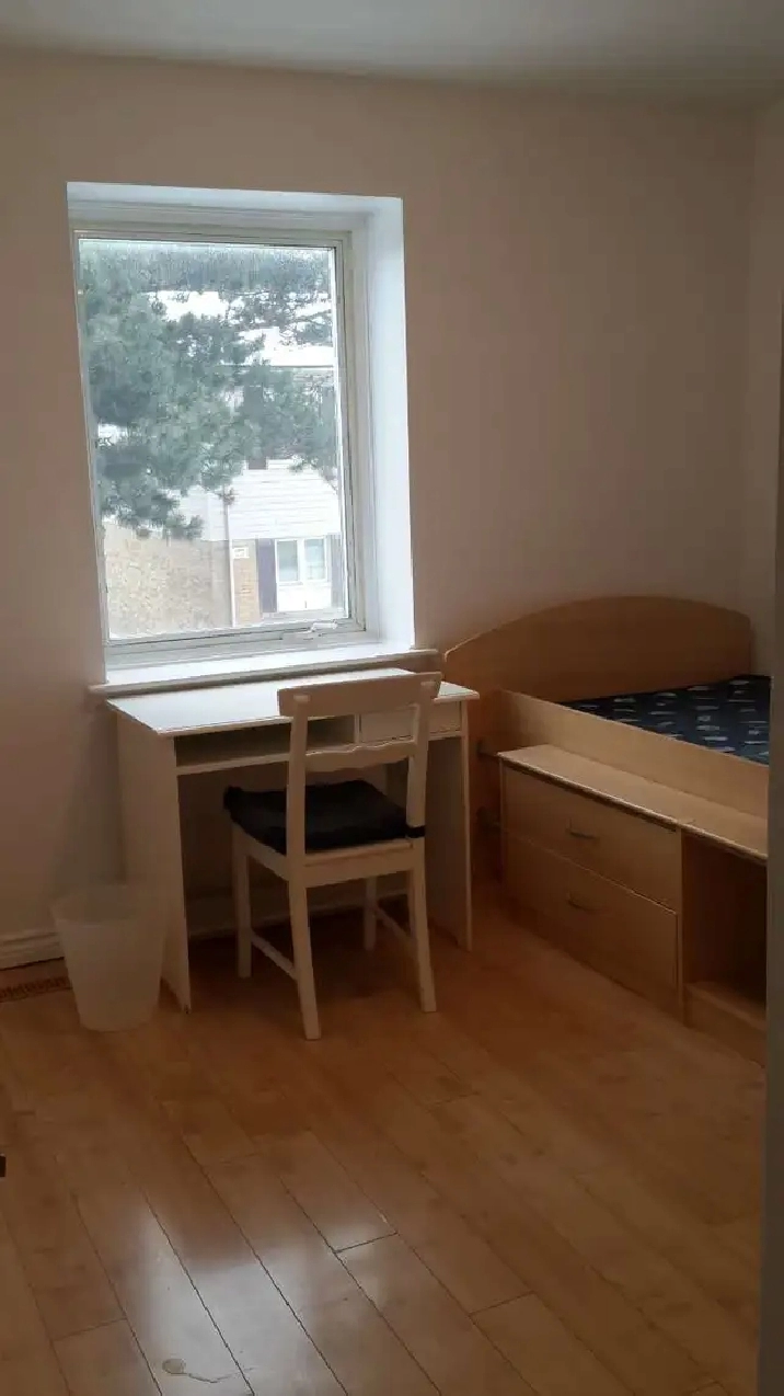 Finch / Birchmount @ Scarborough New Room 2nd floor To Rent!