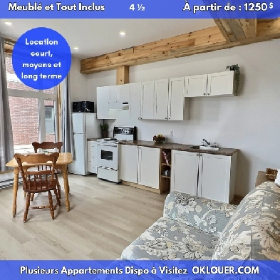 APPARTEMENT MEUBLÉ-TOUT INCLUS 2 CHAMBRES 4 1/2 CENTRE VILLE