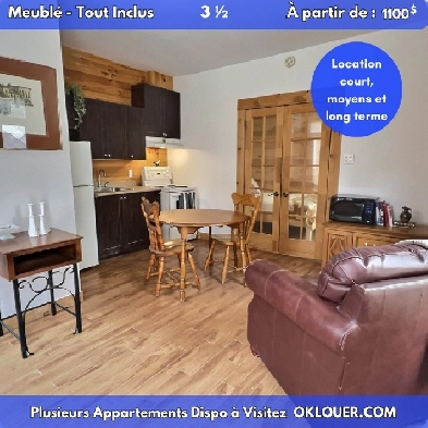 APPARTEMENT TOUT INCLUS-MEUBLÉ, 1 CHAMBRE 3 1/2 A SAINT-ROCH