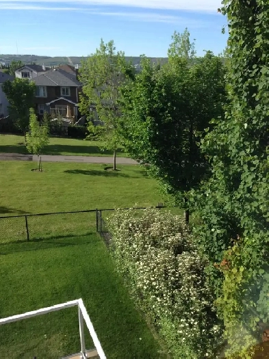 ️ Furnished Room with Mountain Views – Tuscany, NW Calgary