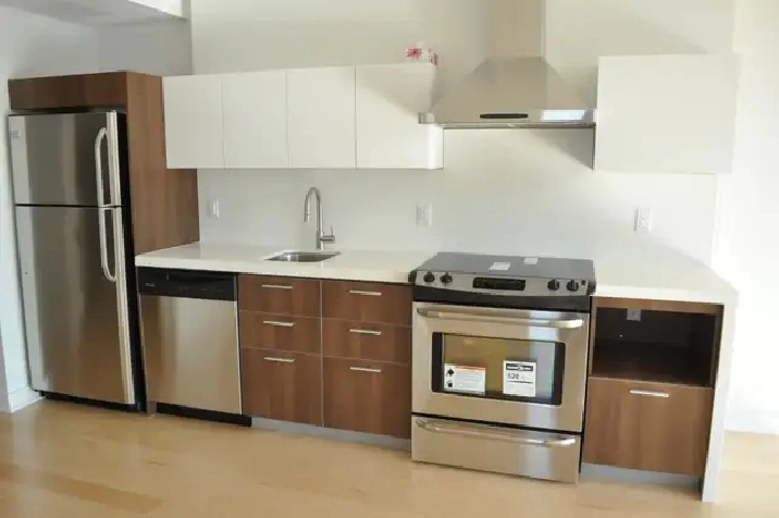 Downtown Luxury Condo for Rent for May 1st!