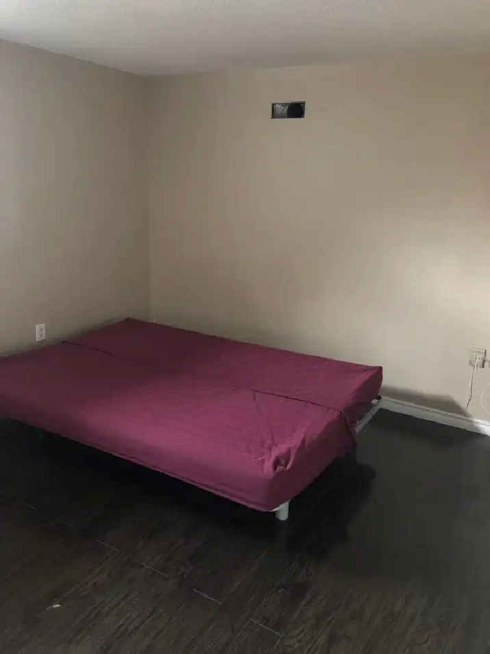 rent a room for female student or professional