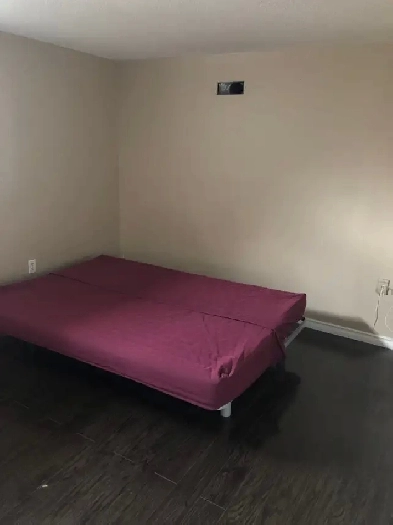 rent a room for female student or professional